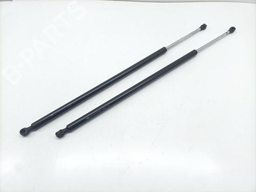 Used Tailgate lift support FIAT SCUDO Bus (270_, 272_) 2.0 D Multijet (128 hp) 25987275