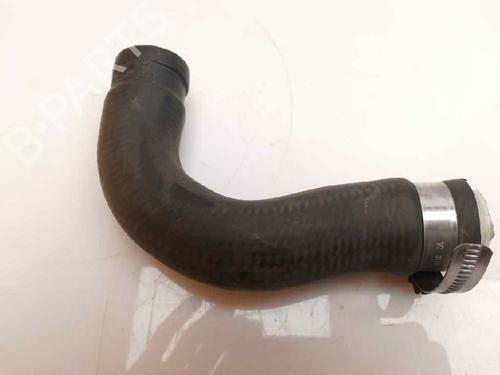 Pipe NISSAN CABSTAR E (TL_, VL_) 125.35, 125.45 (TL0, VL0) | BP26169195M125 
