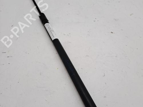 Used Hood lift support RENAULT MEGANE III Hatchback (BZ0/1_, B3_) 1.5 dCi (106 hp) 26233447