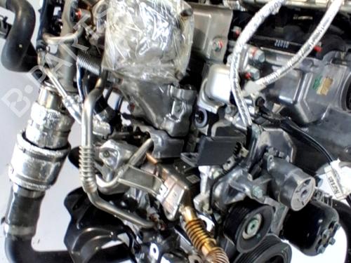 Engine HYUNDAI i20 III (BC3, BI3) 1.0 T-GDI | BP33762344M1 - Image 3