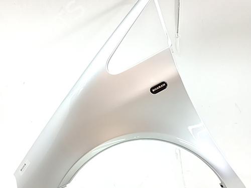 Used Left front fenders VW SHARAN (7M8, 7M9, 7M6) 1.9 TDI (115 hp) 30920332