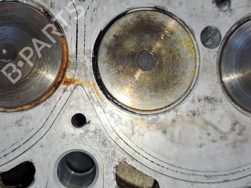 Cylinder head OPEL ZAFIRA / ZAFIRA FAMILY B (A05) 1.9 CDTI (M75) | BP29499648M5 