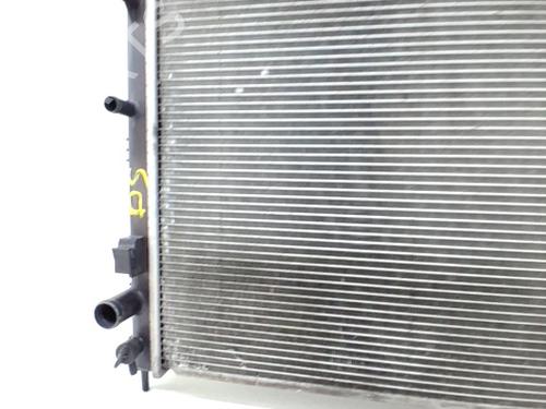 Used Water radiator NISSAN JUKE (F15) 1.5 dCi (110 hp) 30054873