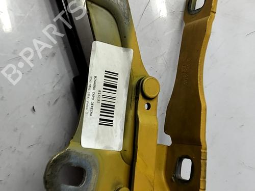 Hinge/Door check strap MINI MINI (R56) Cooper D | BP31262823C146