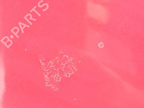 Tailgate ALFA ROMEO GT (937_) 1.9 JTD (937CXN1B) | BP23376802C6 