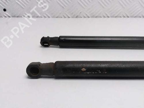 Tailgate lift support AUDI A3 (8P1) 2.0 TDI 16V | BP23874298C138 
