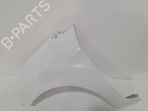 Used Left front fenders FORD FIESTA VI (CB1, CCN) 1.25 (82 hp) 24402623