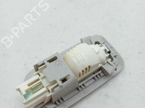 Interior roof light PEUGEOT 3008 I MPV (0U_) 1.6 BlueHDi 120 | BP23355344I8