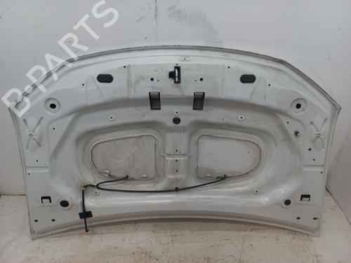 Hood DACIA SANDERO II 1.2 | BP29744982C1