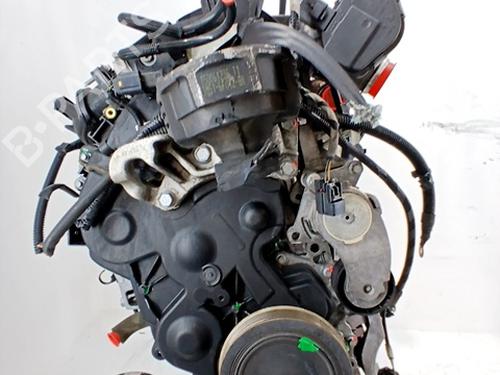Engine FORD FOCUS III 1.6 TDCi | BP29556792M1 