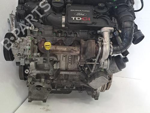 Engine FORD FIESTA V (JH_, JD_) 1.4 TDCi | BP27274481M1 