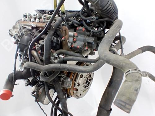 Engine FORD TRANSIT CUSTOM V362 Van (FY, FZ) 2.2 TDCi | BP32383968M1