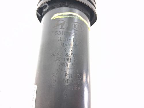 Left rear shock absorber HYUNDAI i30 (PDE, PD, PDEN) 2.0 N | BP28036876M18 
