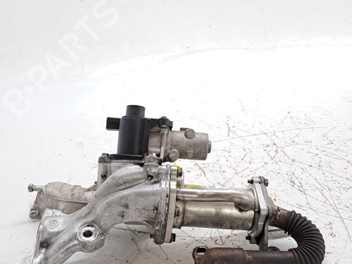 Egr RENAULT KANGOO Express (FW0/1_) 1.5 dCi 70 (FW0A, KW0V) | BP27653233M69 