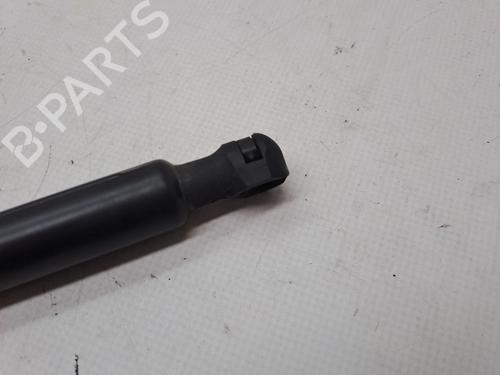 Hood lift support DACIA SANDERO II TCe 90 (B8M1, B8MA, B8AC) | BP23358349C139 