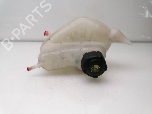 Expansion tank NISSAN QASHQAI II (J11, J11_) 1.3 DIG-T | BP25458013C120 