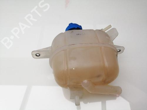 Used Expansion tank FIAT FIORINO Box Body/MPV (225_) 1.3 D Multijet (95 hp) 23387312