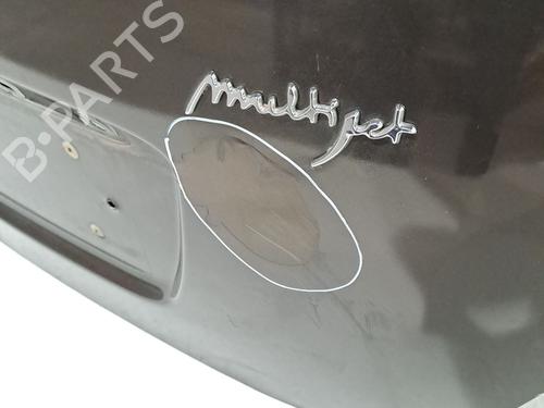 Tailgate LANCIA YPSILON (843_) 1.3 JTD (843.AXD11, 843.AXD1A) | BP25613074C6 