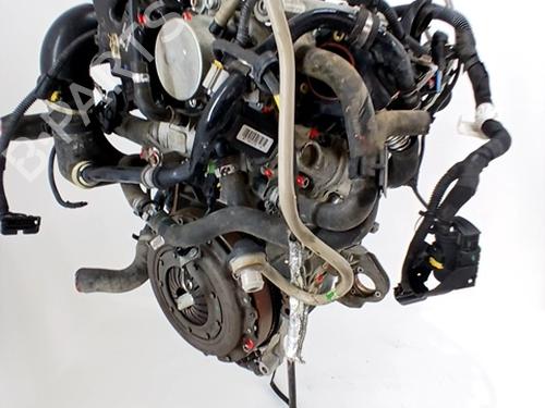 Engine LANCIA MUSA (350_) 1.3 D Multijet (350.AXG11, 350.AXG1A) | BP29697520M1