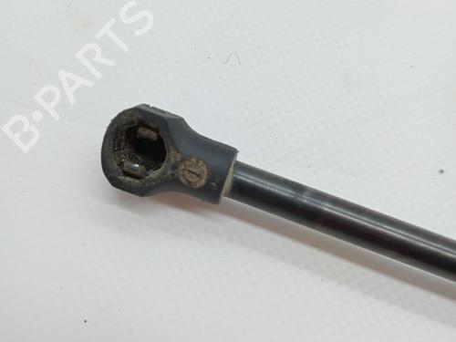 Tailgate lift support PEUGEOT 208 I (CA_, CC_) 1.6 HDi / BlueHDi 75 | BP23346304C138