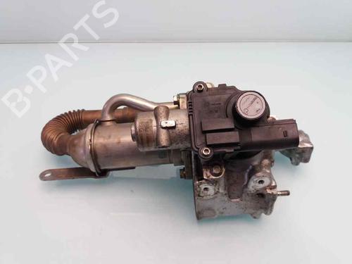Used Egr NISSAN NV200 Van 1.5 dCi 90 (M20, M20N, M20M) (90 hp) 23386286