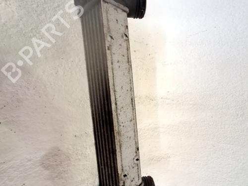 Intercooler BMW 1 (E87) 118 d | BP29992072M30