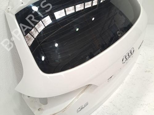 Tailgate AUDI Q5 (8RB) 2.0 TDI quattro | BP29228569C6 