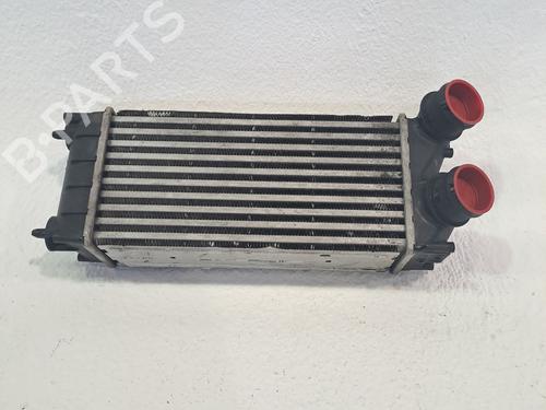 Used Intercooler CITROËN C4 Grand Picasso I (UA_) 1.6 HDi 110 (112 hp) 24172698