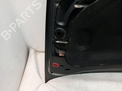 Hood LANCIA DELTA III (844_) 2.0 D Multijet (844.AXD1A, 844.AXM1A) | BP23360424C1 