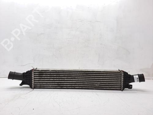 Used Intercooler AUDI Q5 (8RB) 2.0 TDI quattro (170 hp) 24496316