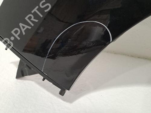 Left front fenders CITROËN C4 II (NC_) 1.6 BlueHDi 100 | BP24402650C41