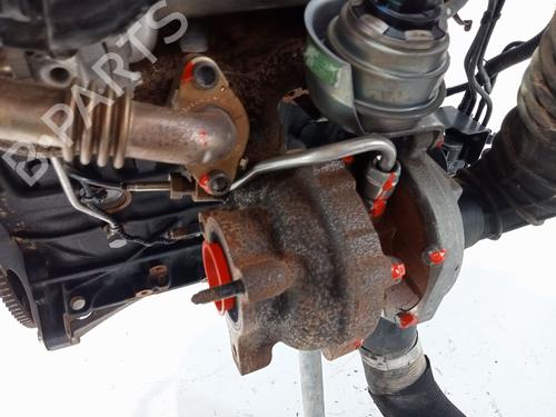 Engine AUDI Q5 (8RB) 2.0 TDI | BP29228374M1 