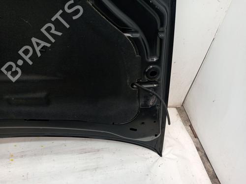 Hood LANCIA DELTA III (844_) 2.0 D Multijet (844.AXD1A, 844.AXM1A) | BP23360424C1 
