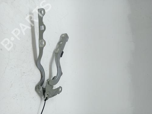 Hinge/Door check strap OPEL CROSSLAND X / CROSSLAND (P17, P2QO) 1.2 (75) | BP25833877C146 