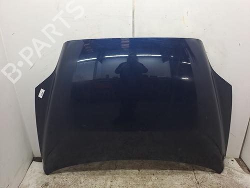Motorhaube für FIAT CROMA (194_) 1.9 D Multijet (194AXC1B, 194AXC12) (150 hp) 23375803