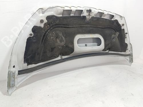 Hood FIAT SCUDO Van (270_, 272_) 2.0 D Multijet | BP29744959C1 