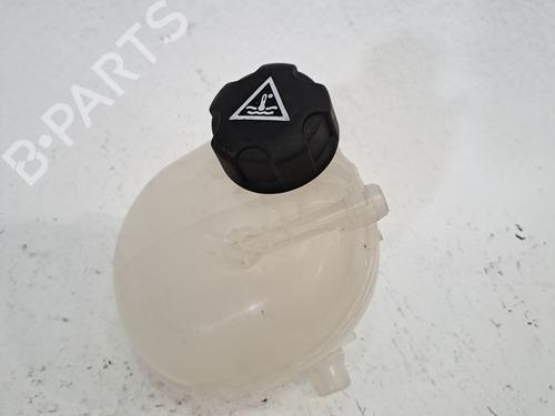 Used Expansion tank PEUGEOT 208 II (UB_, UP_, UW_, UJ_) 1.2 MHEV (101 hp) 27175304