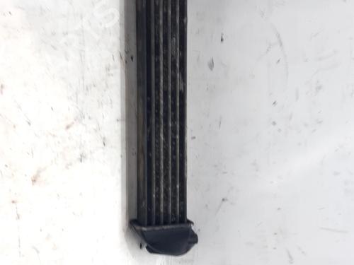Intercooler Intercooler RENAULT CLIO III Grandtour (KR0/1_) 1.5 dCi (KR0G) (68 hp) 37224366 37224366