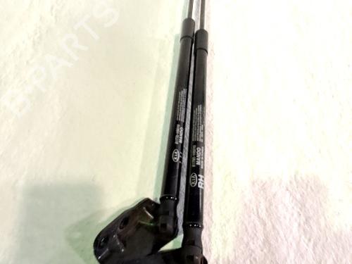 Tailgate lift support KIA RIO IV (YB, SC, FB) 1.0 T-GDI 120 Eco-Dynamics+ | BP29992414C138 