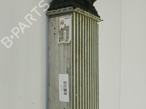 Intercooler CITROËN C3 AIRCROSS II (2R_, 2C_) 1.6 BlueHDi 100 (2CBHYB) (99 hp) 29500025