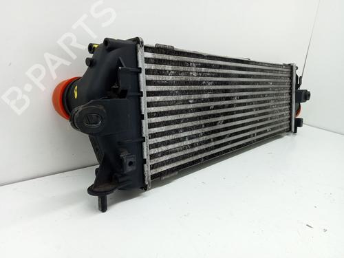 Intercooler NISSAN PRIMASTAR Van (X83) 2.0 dCi 90 | BP28179310M30 
