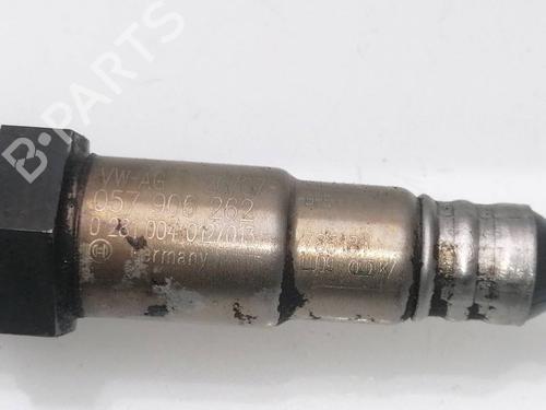 Elektronensonde AUDI A8 D3 (4E2, 4E8) 4.2 TDI quattro | BP23941380M84 