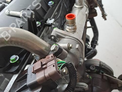 Engine FORD FOCUS C-MAX (DM2) 2.0 TDCi | BP23368747M1 