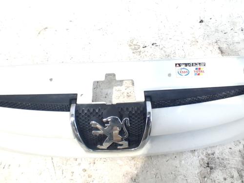 Used Grille Grille PEUGEOT PARTNER MPV (5_, G_) 1.9 D (69 hp) 34154370 34154370