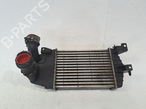 Used Intercooler OPEL ZAFIRA / ZAFIRA FAMILY B (A05) 1.7 CDTI (M75) (110 hp) 24172707