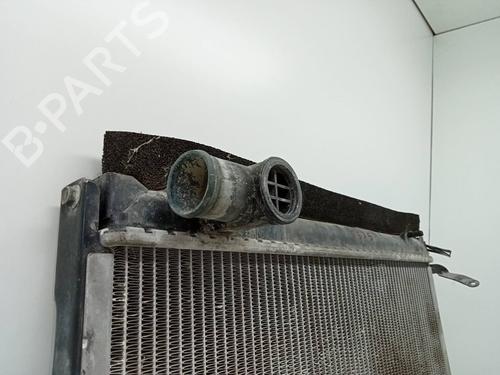 Køler SANTANA 300 Open Off-Road Vehicle 2.0 TDi 4x4 | BP24883971M31 
