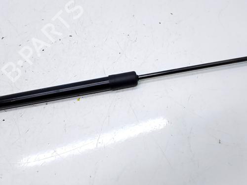 Gasdæmper bagklap Gasdæmper bagklap CITROËN C3 AIRCROSS II (2R_, 2C_) 1.5 BlueHDi 110 (110 hp) 34154273 34154273