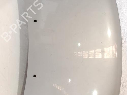 Used Hood Hood KIA SPORTAGE II (JE_, KM_) 2.0 CRDi (113 hp) 35947099 35947099