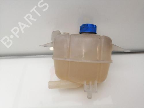 Used Expansion tank FIAT FIORINO Box Body/MPV (225_) 1.3 D Multijet (95 hp) 23387312