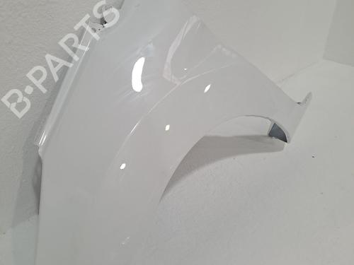 Left front fenders FORD FIESTA VI (CB1, CCN) 1.25 | BP24402623C41 